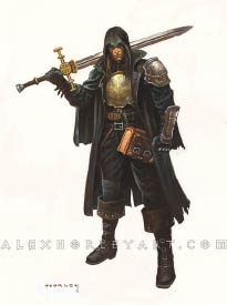 The Knight Paladin is an older man with long hair and a black cloak covering most of his shining armor, with a pauldron and gauntlet on top of the cloak. He casually rests a two-handed sword on his shoulder, with a huge tome chained to his waist. He appears to be concealing his identity.